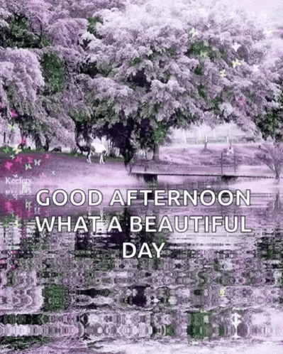 Good Afternoon Wednesday Lake GIF
