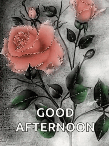 Good Afternoon Wednesday Sparkling Rose GIF