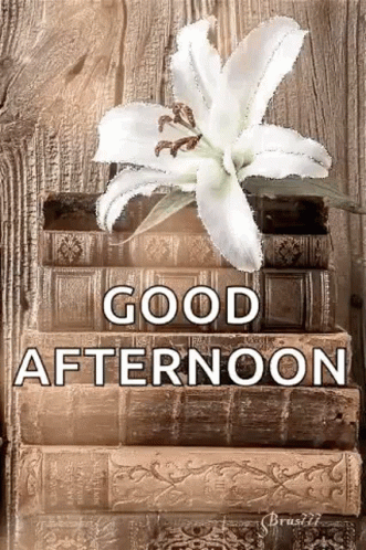 Good Afternoon Wednesday White Flower GIF