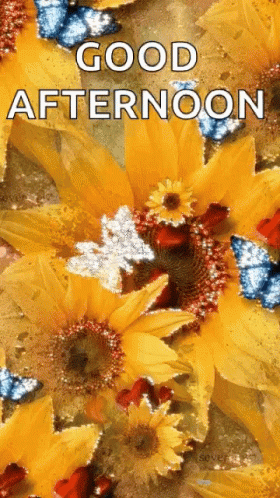 Good Afternoon Wednesday Yellow Flower GIF