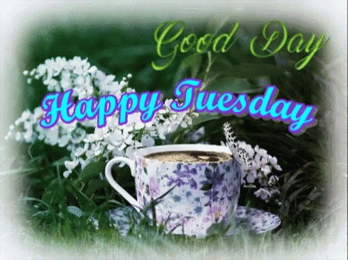Good Day Have A Blessed Tuesday GIF