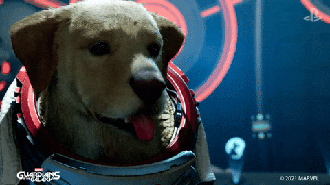 Good Dog Panting Space Suit GIF