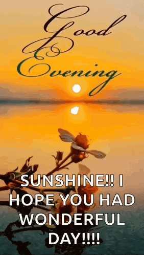 Good Evening Sunshine Have a Wonderful Day