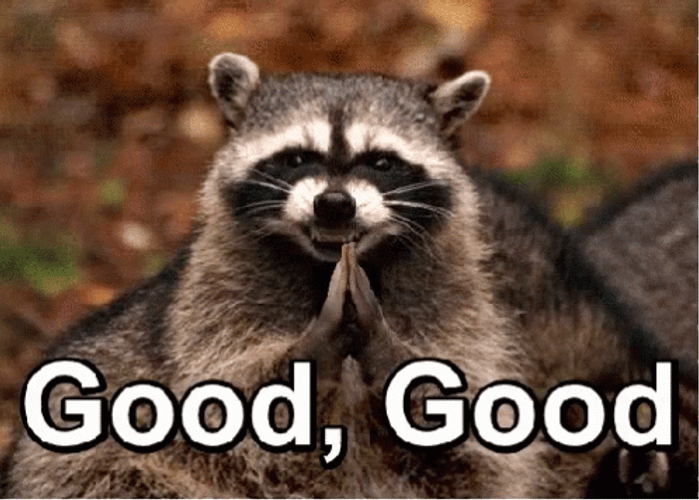 Good Evil Smile Raccoon GIF