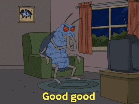 Good God Scary Arsonist Beetle GIF | GIFDB.com
