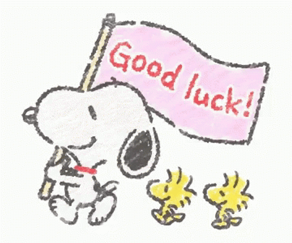 Good Luck Snoopy Woodstock Flag GIF