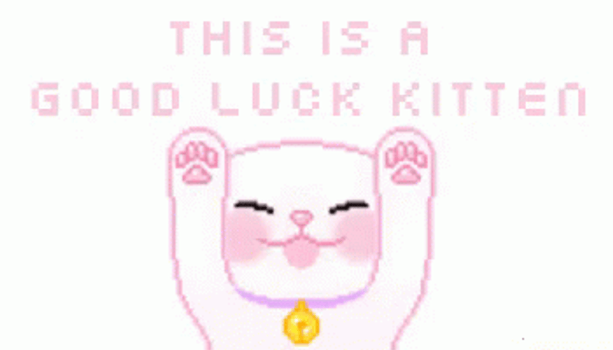 Good Luck White Kitten GIF