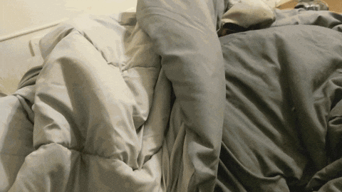 Good Monday Doggo GIF