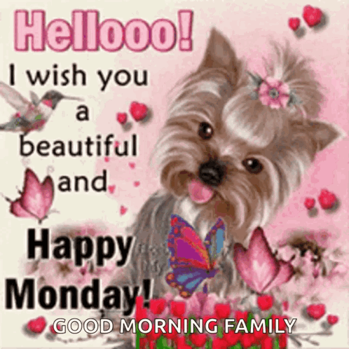 Good Monday Morning Beautiful Dog GIF