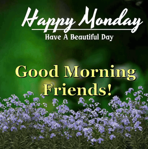 Good Monday Morning Lavender Plant GIF