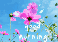 Good Morning Aesthetic Flowers And Butterflies GIF