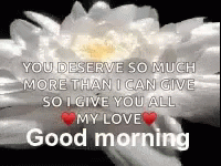 Good Morning August Blossoming Flower GIF