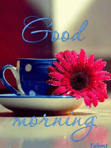 Good Morning August Coffee And Flower GIF