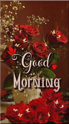Good Morning August Red Roses GIF