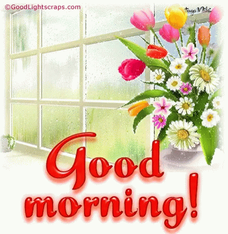 Good Morning August Vase At The Window GIF