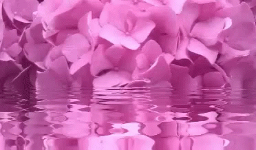 Good Morning August With Love GIF