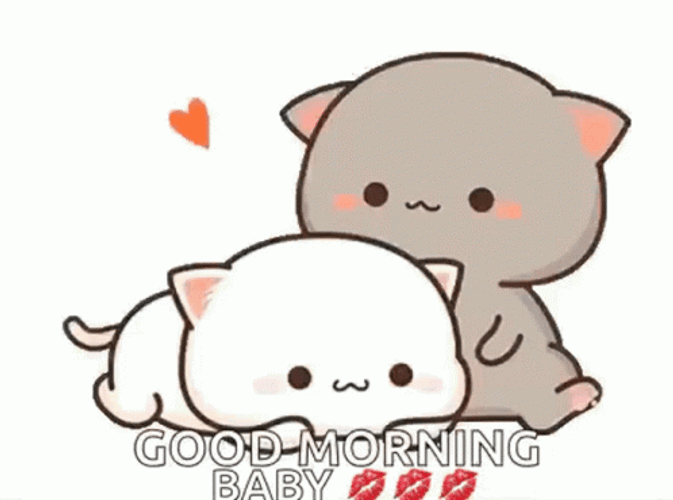 Good Morning Baby Cats Sweetly Kissing GIF