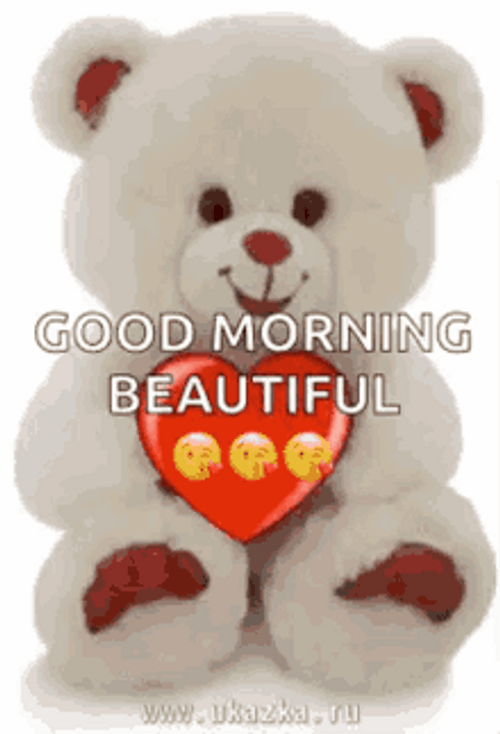 Good Morning Beautiful Bear GIF