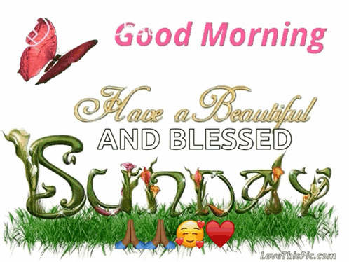 Good Morning Beautiful Blessed Sunday Butterfly