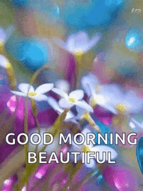 Good Morning Beautiful Colorful Butterflies GIF