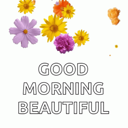 Good Morning Beautiful Colorful Flowers GIF