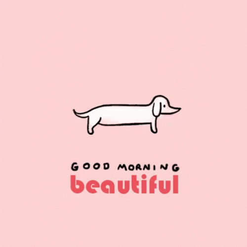 Good Morning Beautiful Cute Dog GIF