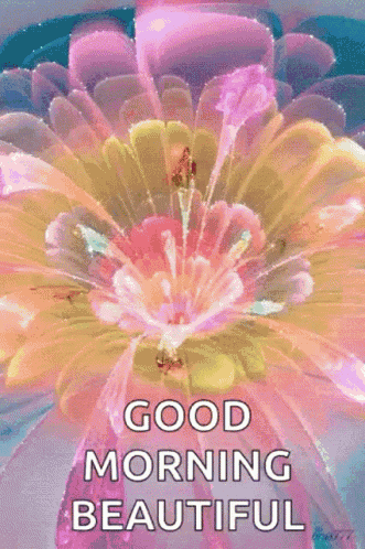 Good Morning Beautiful Flower