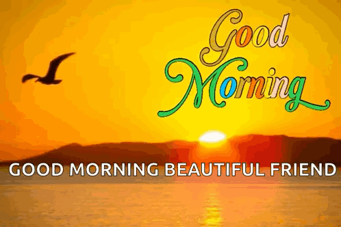 Good Morning Beautiful Friend With Bird Over Ocean