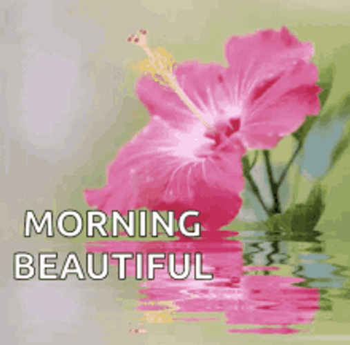 Good Morning Beautiful Gumamela GIF