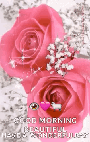 Good Morning Beautiful Have A Wonderful Day With Pink Roses And A Sheep GIF