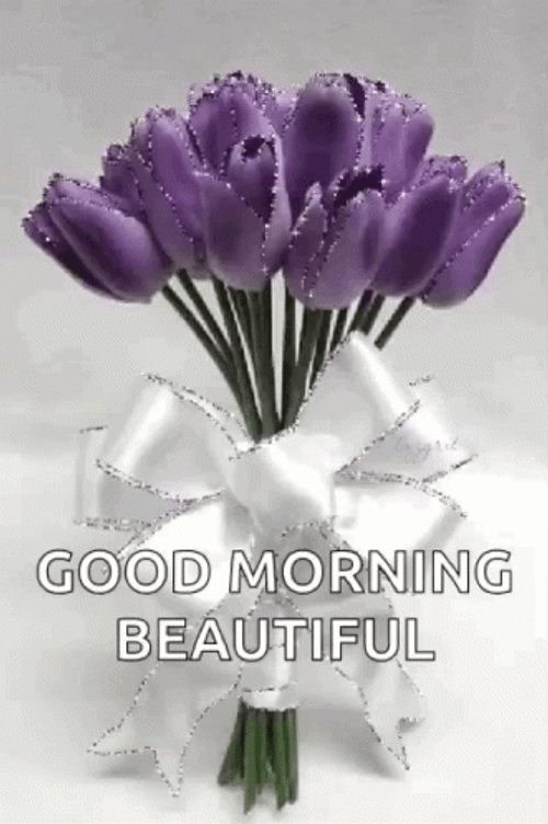 Good Morning Beautiful Purple Tulip GIF