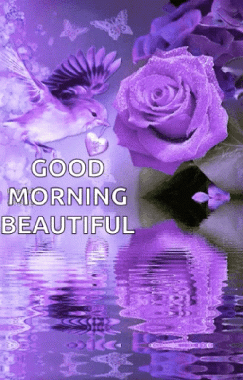Good Morning Beautiful Purple GIF