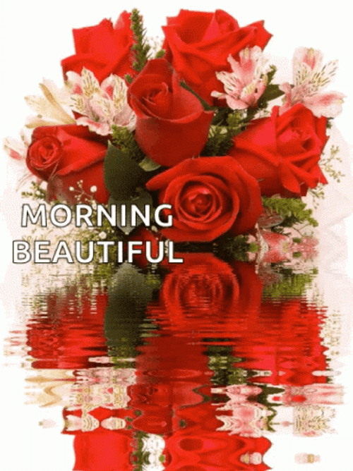 Good Morning Beautiful Red Roses GIF