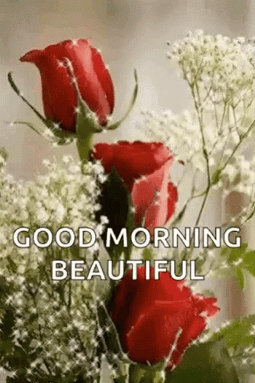 Good Morning Beautiful Red Roses GIF