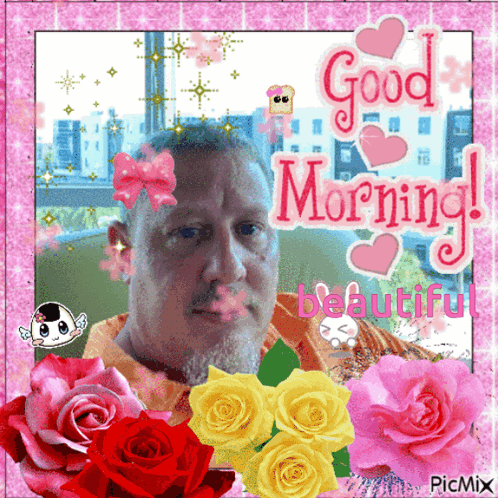 Good Morning Beautiful Roses