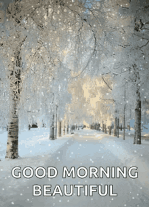 Good Morning Beautiful Snow GIF