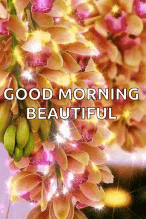Good Morning Beautiful Sparkling Flowers GIF