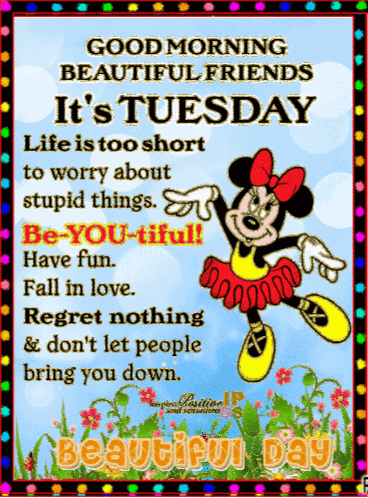 Good Morning Beautiful Thankful Tuesday GIF