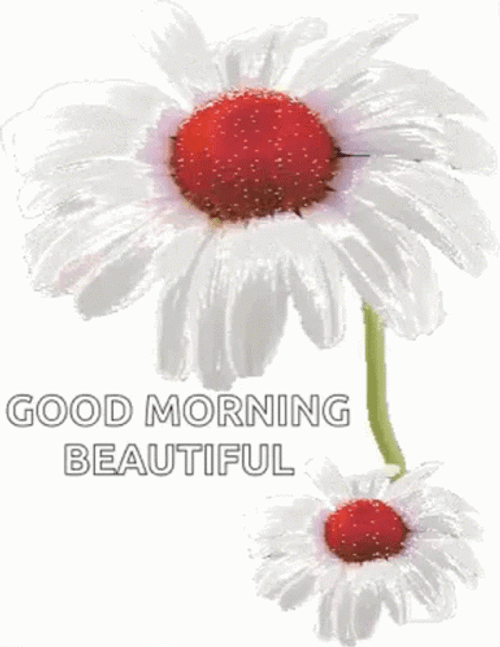 Good Morning Beautiful White Flower GIF
