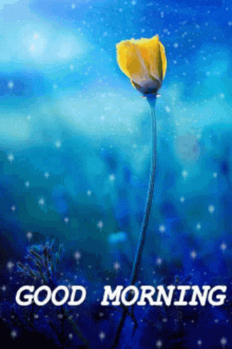 Good Morning Blessed Day GIF