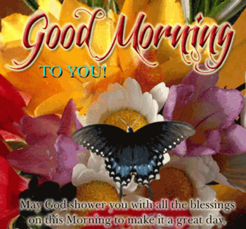 Good Morning Butterfly Card GIF