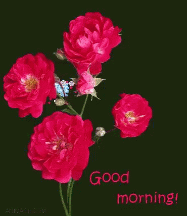 Good Morning Card with Red Roses and Blue Flowers