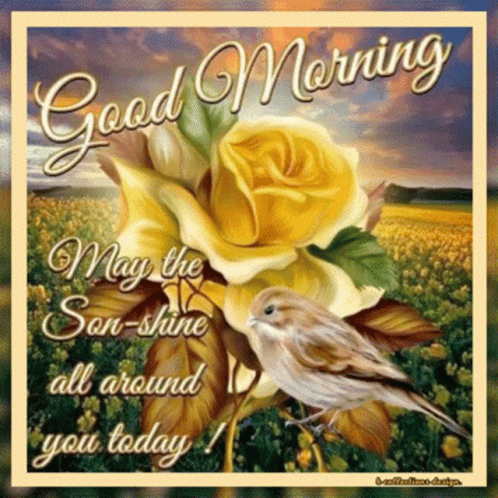 Good Morning Card With Yellow Rose And Bird GIF