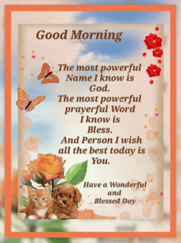 Good Morning Cat and Puppy