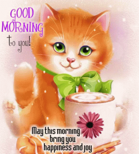 Good Morning Cat Cartoon GIF