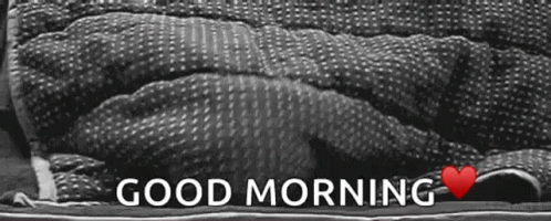 Good Morning Cat Cover Blanket GIF