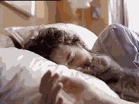 Good Morning Cat Cuddling Owner GIF