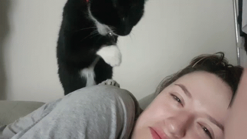 Good Morning Cat Touching Nose GIF