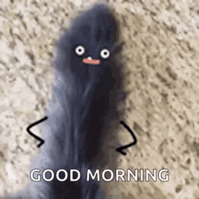 Good Morning Cat Wag Tail GIF