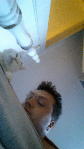 Good Morning Cat With Guy GIF